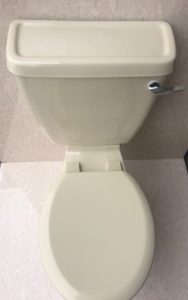 IndianIvory_Toilet