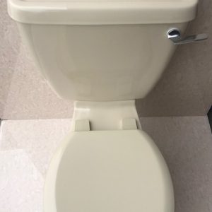Indian_Ivory_Toilet