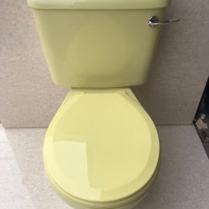 Primrose_Yellow_Toilet