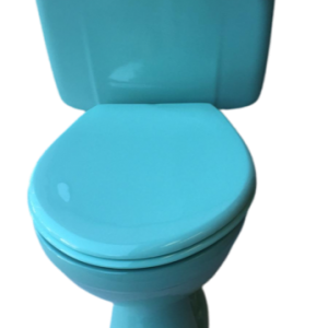 turquoise_lever_toilet