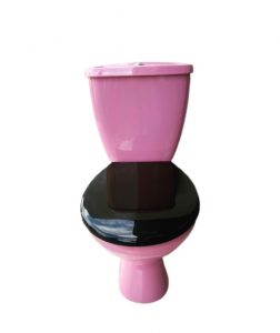 Flamingo_pink_toilet