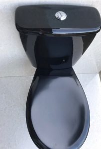 Black_Push_Button_Toilet.