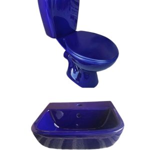 REGAL_BLUE_TOILET_AND_BASIN