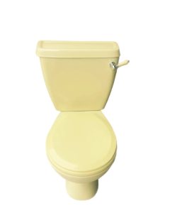 primrose_yellow_Toilet
