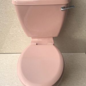 Pink_Toilet