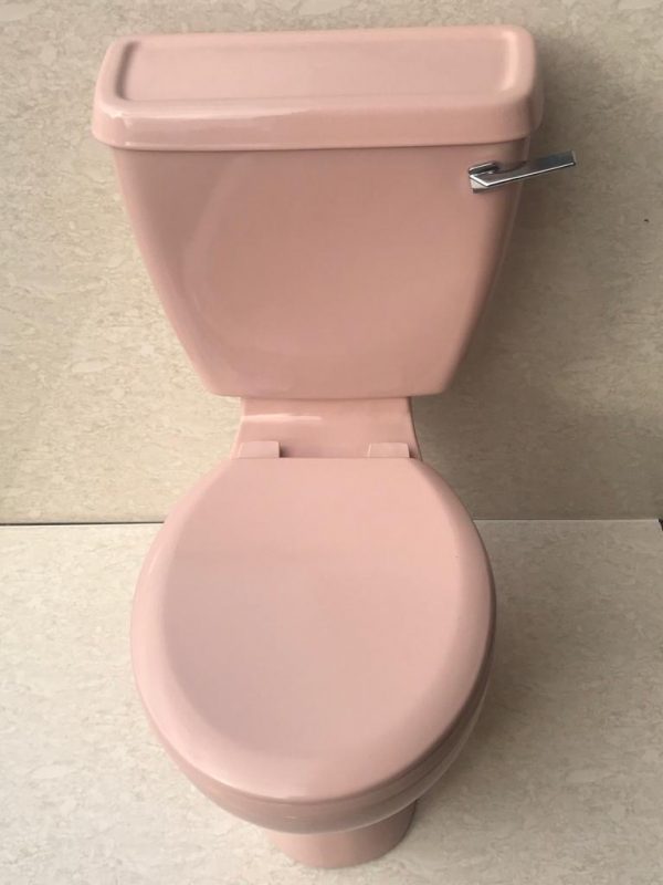 Pink toilet