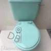 turquoise_toilet