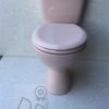 pink_push_toilet