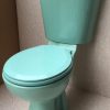 turquoise_toilet1