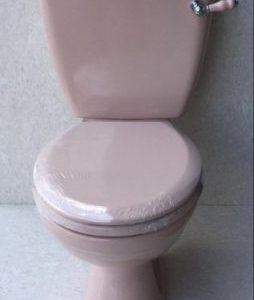 Pink_Toilet_Lever