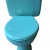 turquoise_lever_toilet