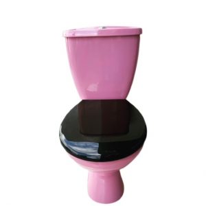 Flamingo_pink_toilet