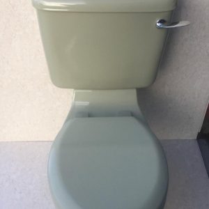 Pampas_green_Toilet