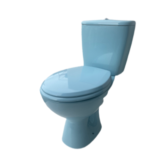 sky_blue_toilet_push_button