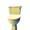 primrose_art_deco_toilet