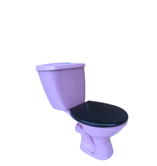 lilac_toilet_push_button