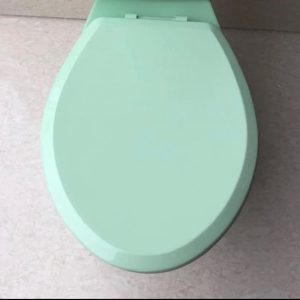 Light_Green_Toilet_Seat