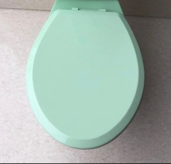 Light_Green_Toilet_Seat