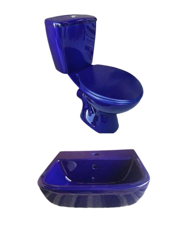 REGAL_BLUE_TOILET_AND_BASIN