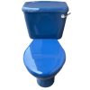 Sorrento_blue_toilet