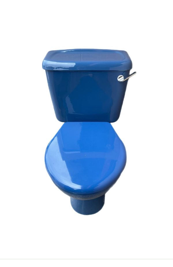 Sorrento_blue_toilet